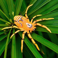 Isca Aranha Artificial - Piracema Spider - Combo 5 unidades